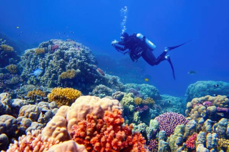 Consejos para viajar a Egipto: Lo que los visitantes primerizos desearían haber sabido